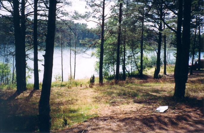 General view of the confluence (towards SW)