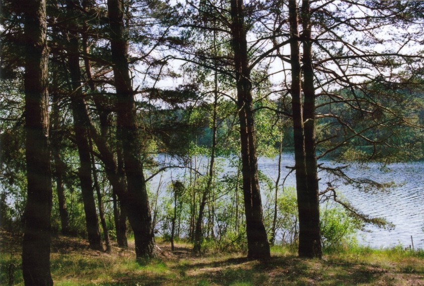 General view,  towards SW - Widok ogólny, kierunek Pd-Z 