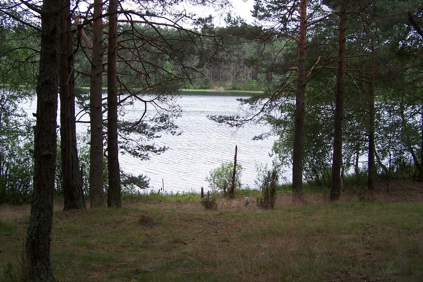 General view of the confluence (towards SW)