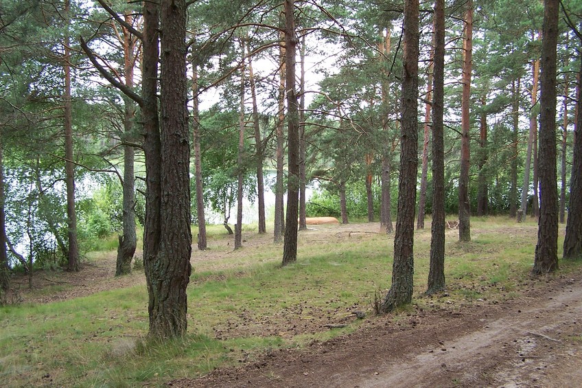 View towards W from the confluence