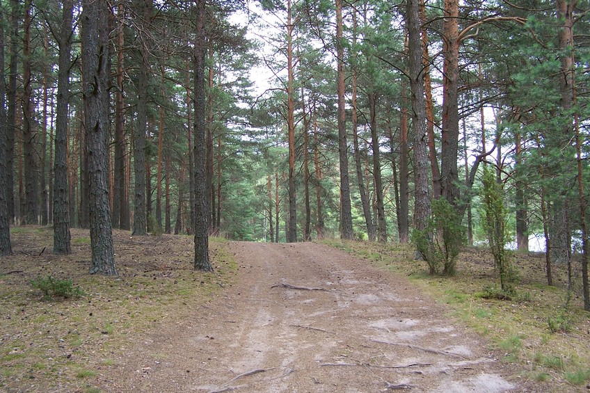 View towards SE from the confluence