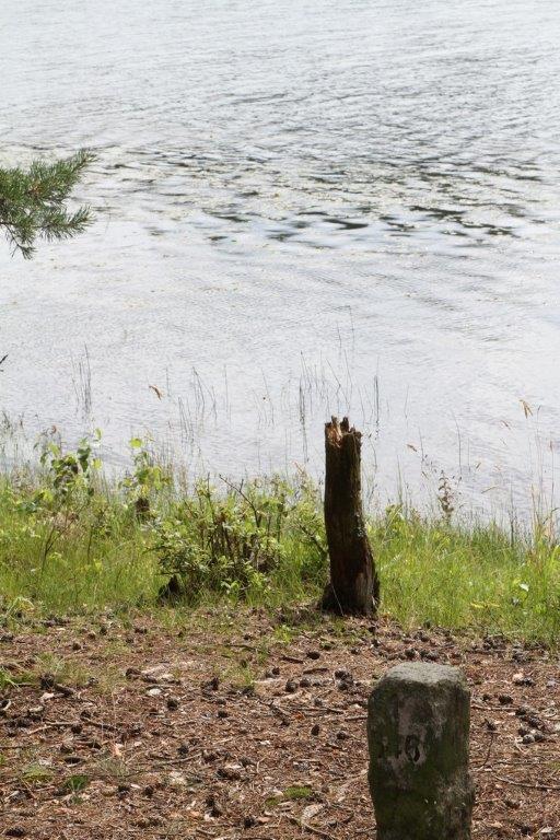 Stone pillar of forest branch - Kamienny słupek oddziału leśnego