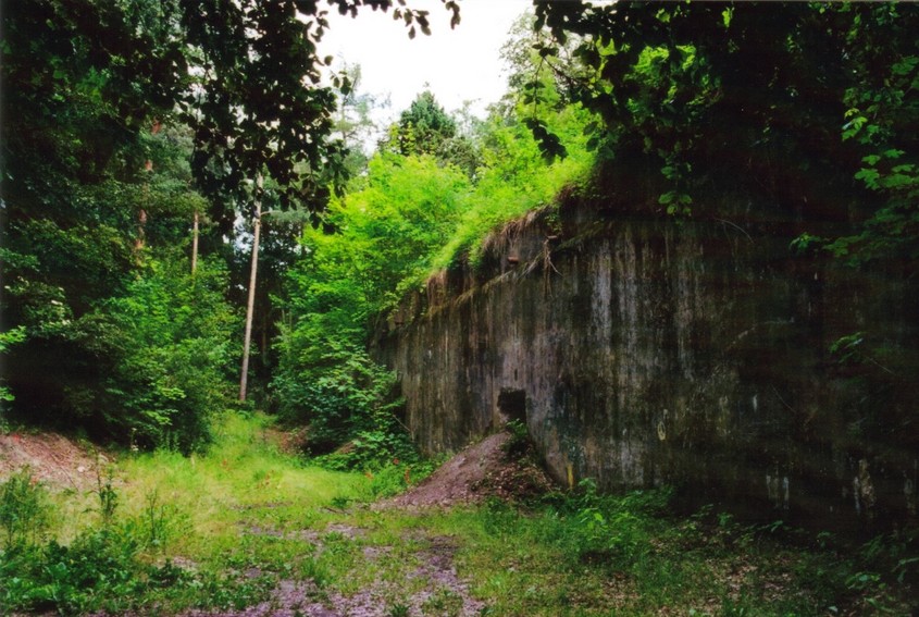 General view - Widok ogólny