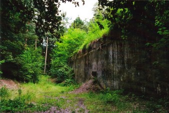 #1: General view - Widok ogólny