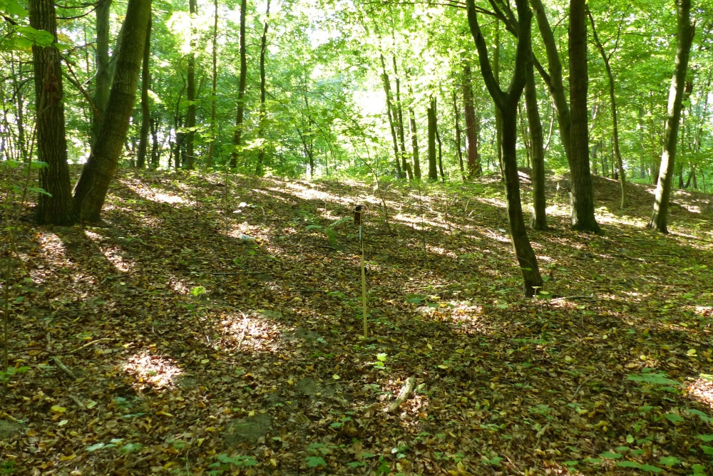 Bezposrednie miejsce punktu z oznaczoniem tyczką z odbiornikiem GPS  / Exact spot with the marker