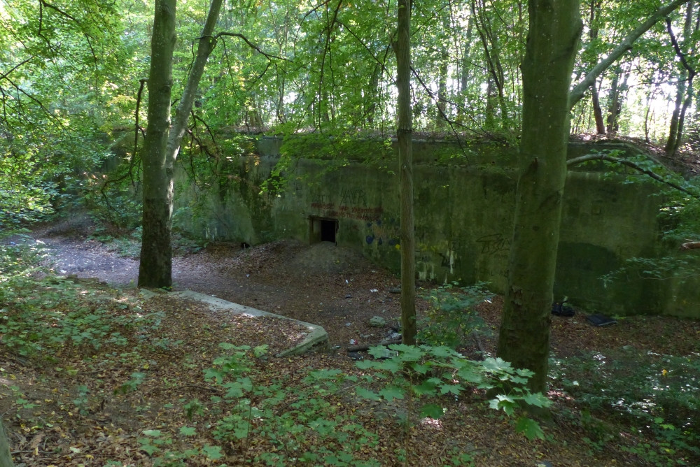 Bunkier, kilkanascie metrów od punktu w kierunku południowym / Bunker, a dozen or so meters from the CP towards the south directions