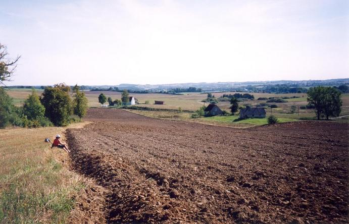 View towards E from the confluence