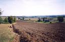 #3: View towards E from the confluence