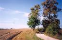 #5: View towards E from the nearby road - the confluence is ca. 300 m away