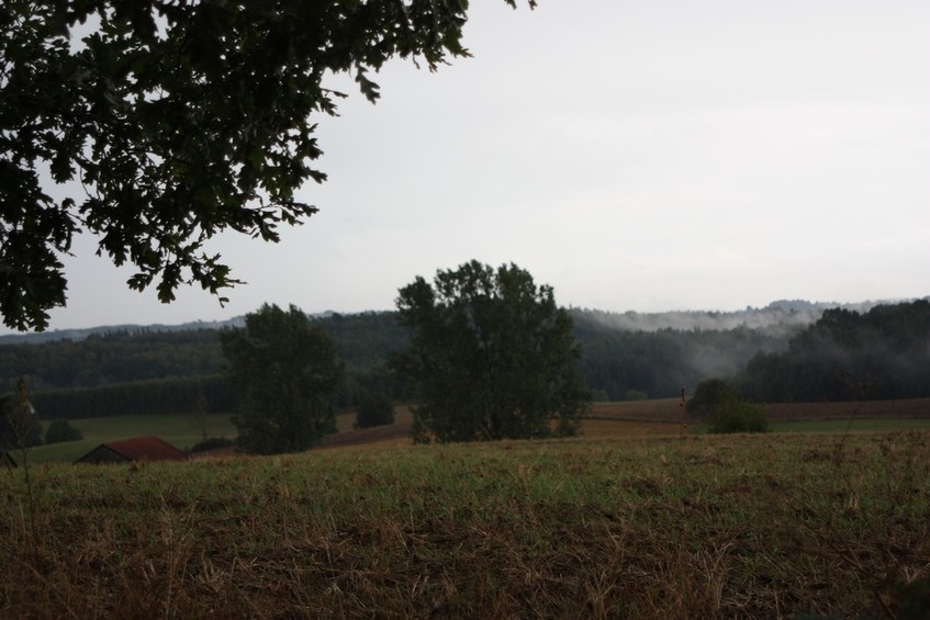 General view - Widok ogólny