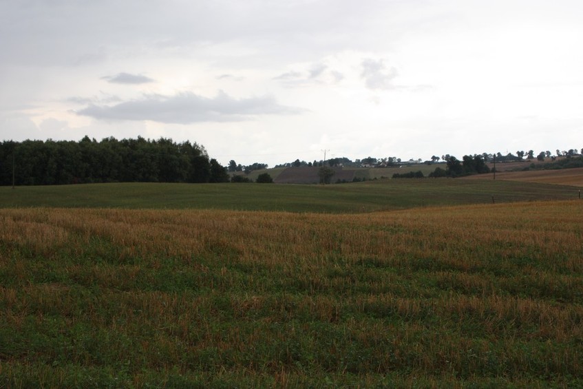 View towards North - Północ