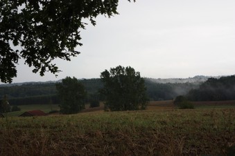 #1: General view - Widok ogólny