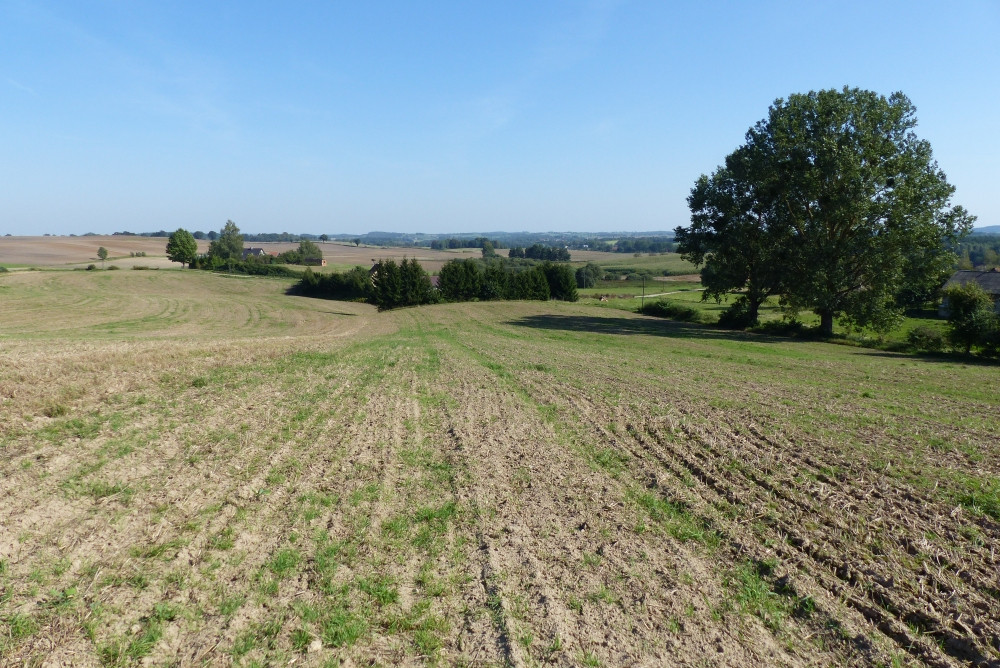 Widok w kierunku E / East view