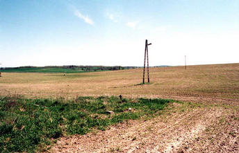 #1: a confluence next to electricity relay pole