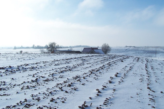 View towards S from the confluence