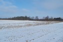 #2: View towards N from the confluence