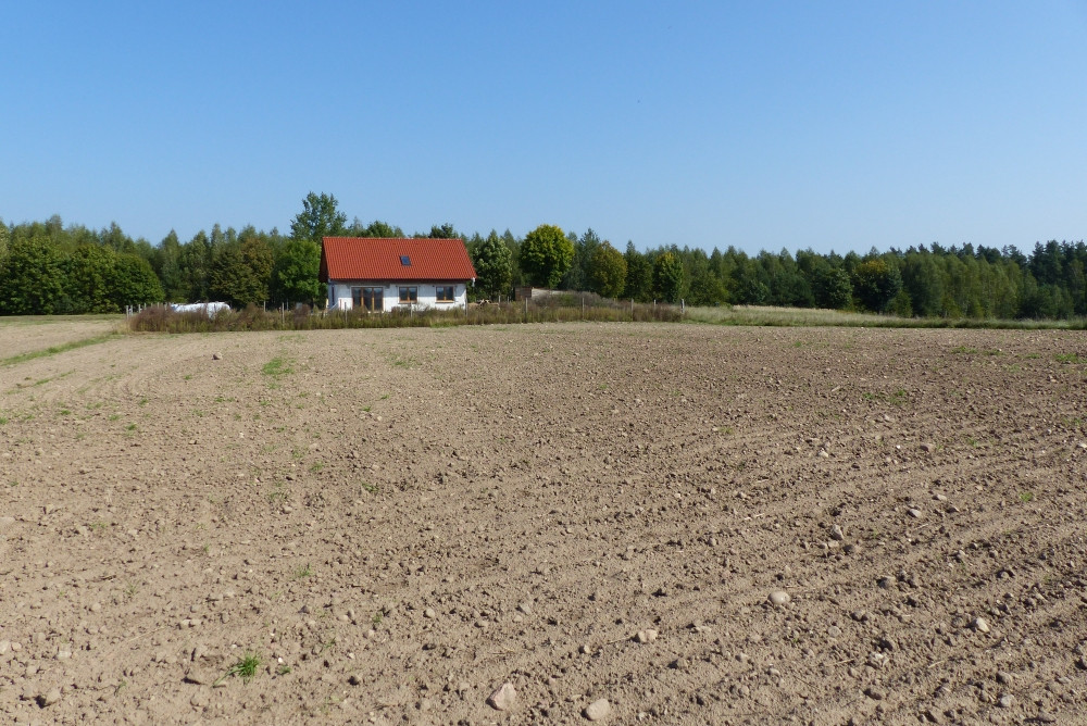 Widok w kierunku E / East view