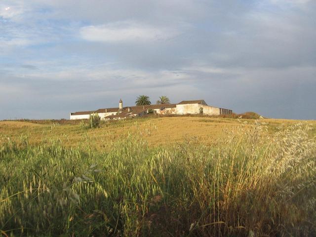 Alentejo Landscape