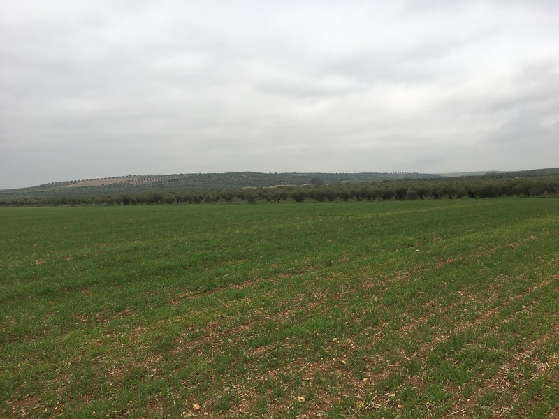 The Confluence from 10 m distance