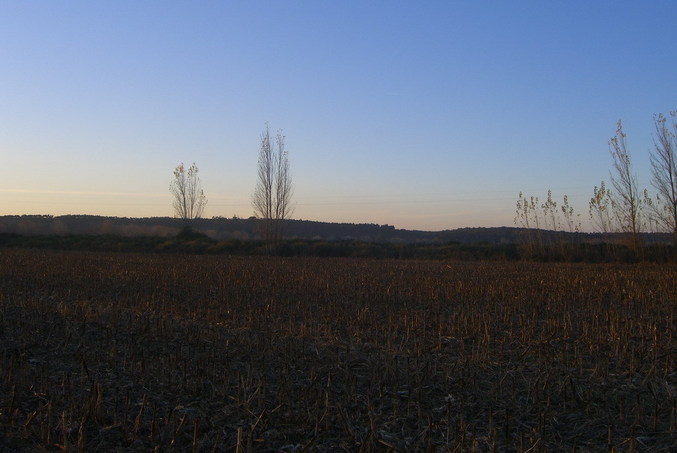 View west / Blick nach Westen