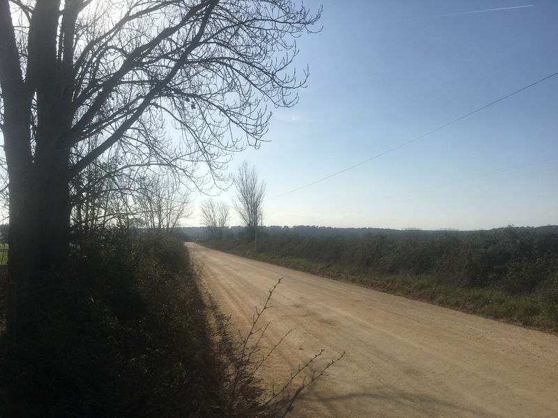 View to the West (from 88 m distance)