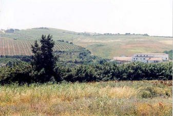 #1: View from across the valley looking south. Confluence is half way between large house and elec.pole IN BRAMBLES!