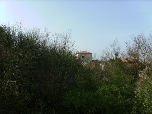 Blick nach Norden / View north