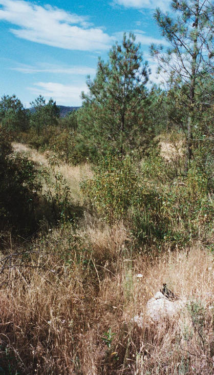 Facing N – the "confluence rock" is on the lower right corner of the picture