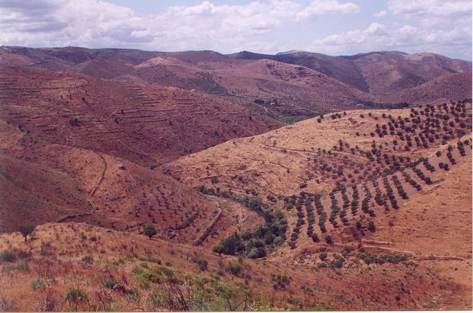 West, looking down on the Aguiar stream