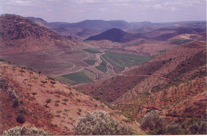 A general view from the road: the geography about 15km's before the spot