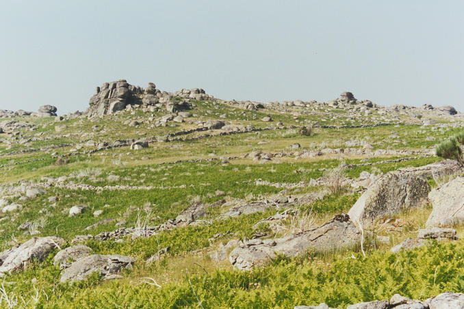 The area of the confluence (near the centre of the picture)