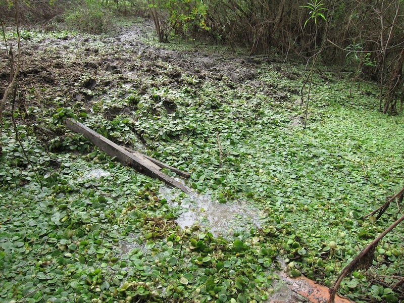 Mud crossing on foot