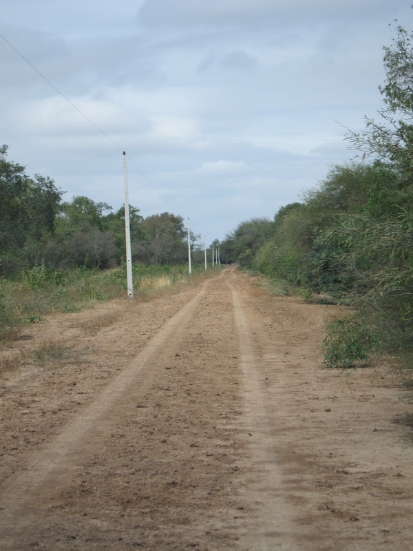 Ranch access road en route to confluence