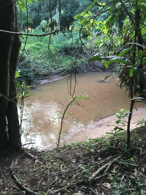 The river near the confluence point