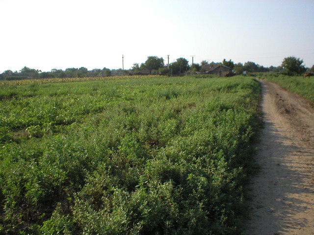 North view - the village is in that direction.