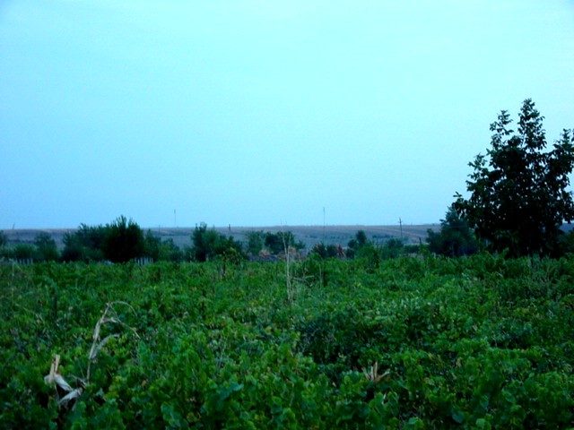 South view towards the confluence/Vedere spre sud, spre confluenta