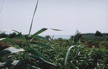 #1: Looking South to the confluence