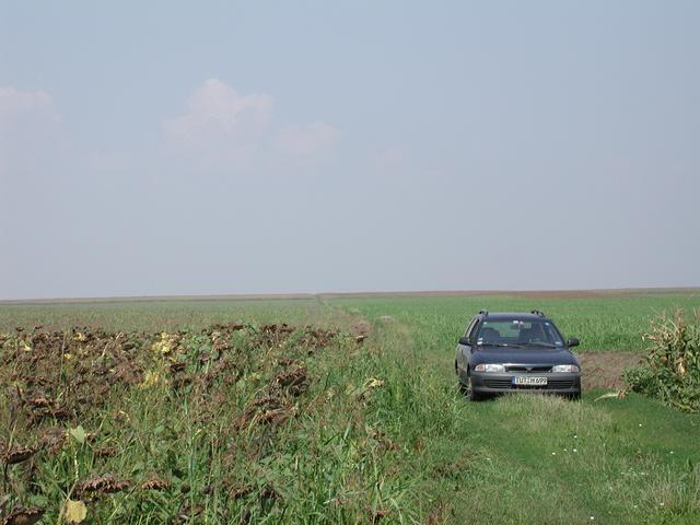 Weg nach Gelu / Way to Gelu