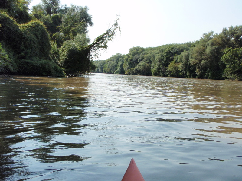 Canoeing on the border river Maros - Mureș