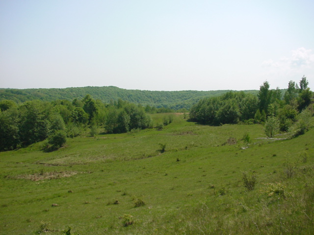 Forested hills southwards/Dealuri impadurite spre sud