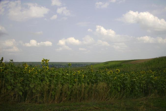 Blick nach Osten / View east