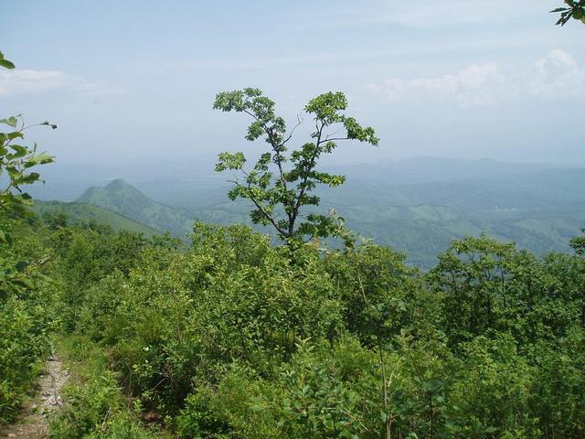 View from the top of mountain Chandolaz