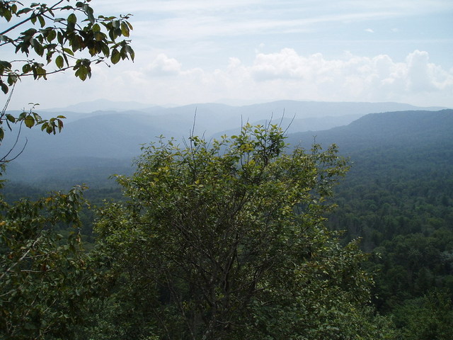 Лазовский заповедник -- Lazovskiy preserve