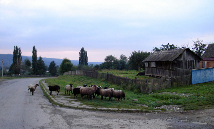 The point where we left the road towards Psemen