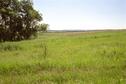 #2: Вид на восток / View East from the confluence point