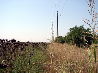 #1: View from CP to the West