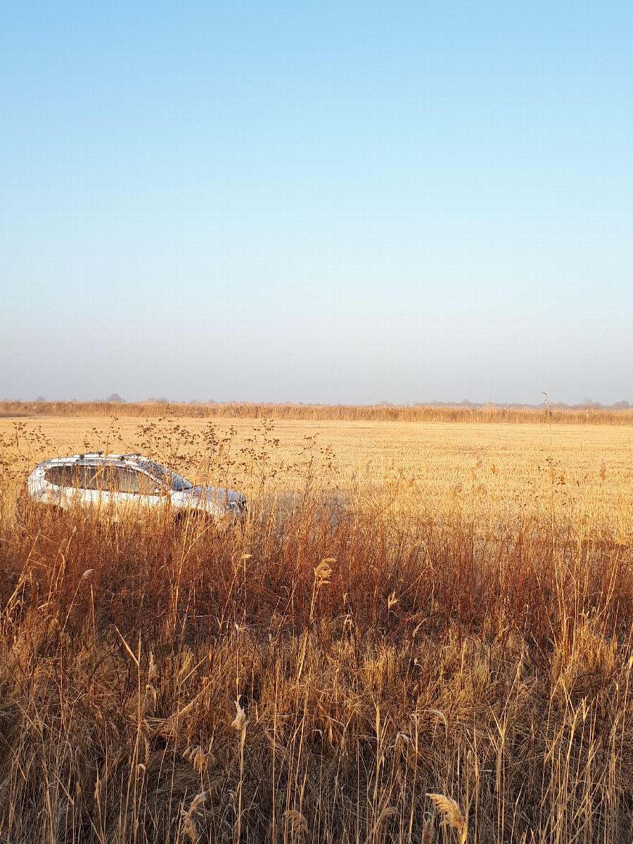 На запад / West view