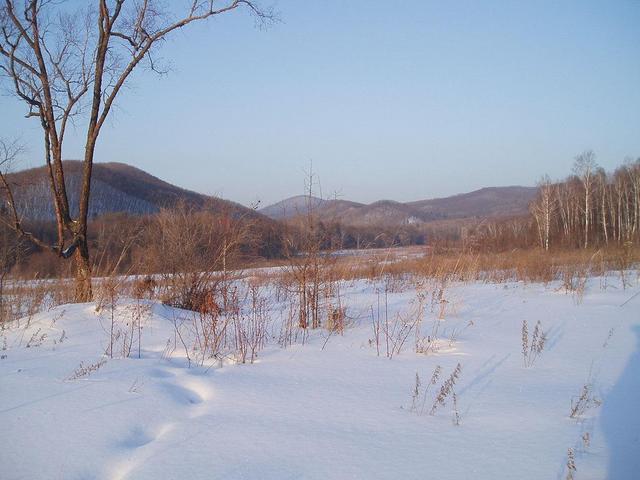 View toward the point