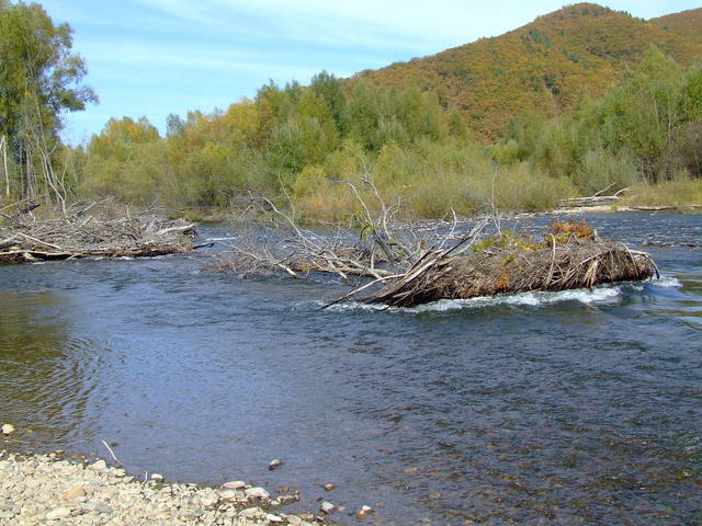 Здесь был брод через Уссури / Eroded river ford.