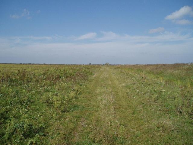 Overview of the point